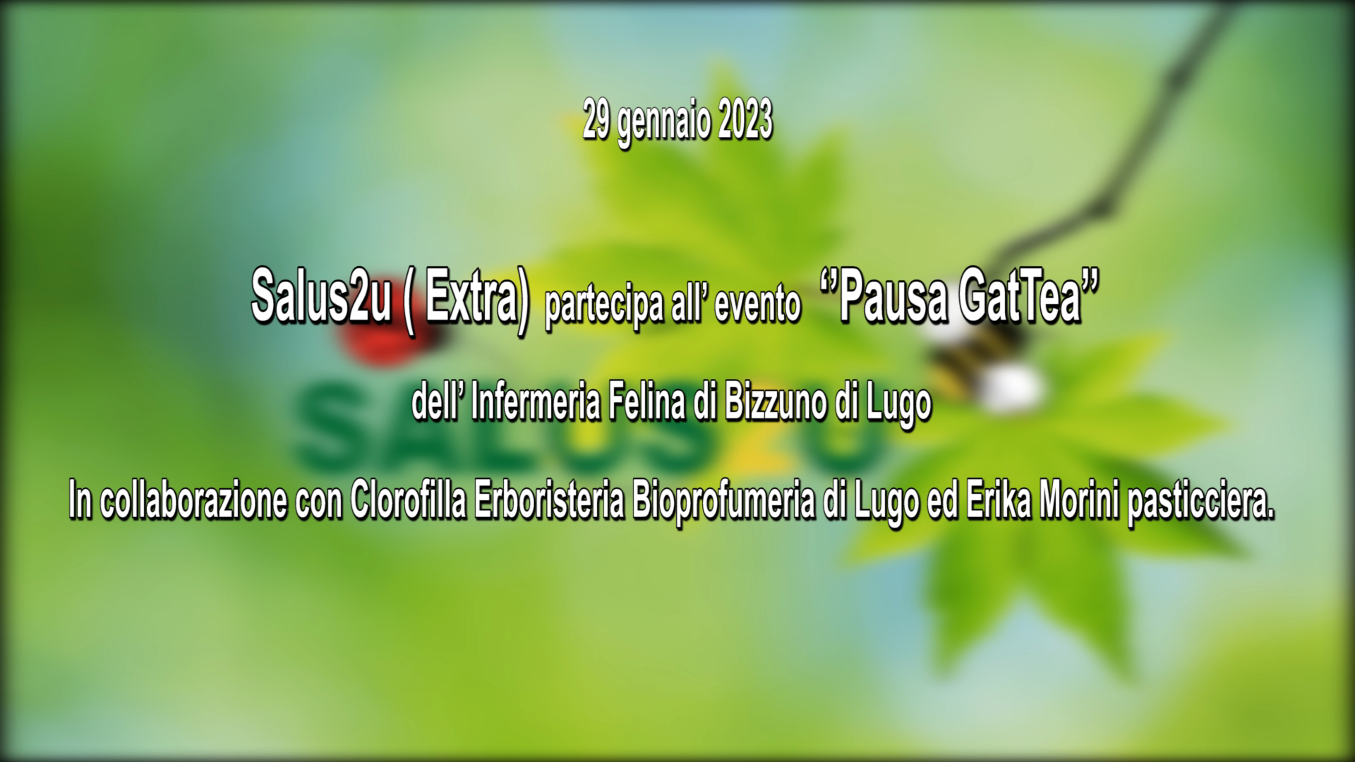 Salus2u “Extra” partecipa all’evento “Pausa GatTea”: Dall’Infermeria Felina di Bizzuno di Lugo (RA)
